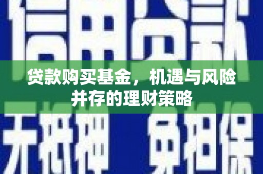 亭湖贷款购买基金，机遇与风险并存的理财策略