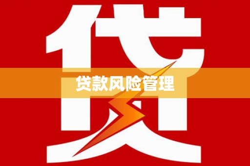 亭湖贷款风险管理