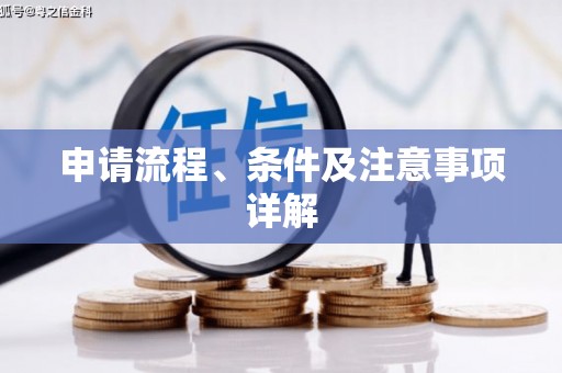 亭湖申请流程、条件及注意事项详解