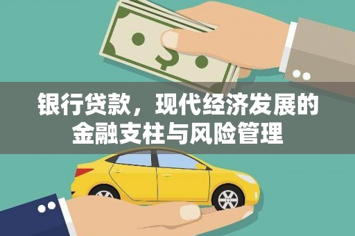 亭湖银行贷款，现代经济发展的金融支柱与风险管理