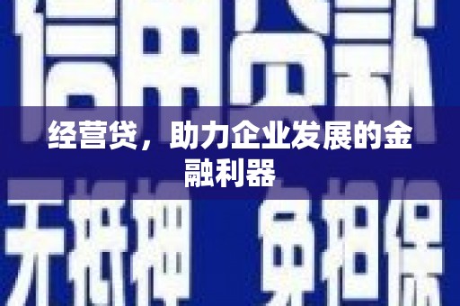 亭湖经营贷，助力企业发展的金融利器