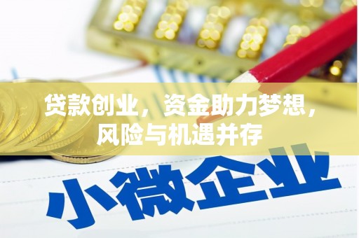 亭湖贷款创业，资金助力梦想，风险与机遇并存