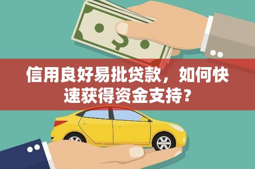 亭湖信用良好易批贷款，如何快速获得资金支持？