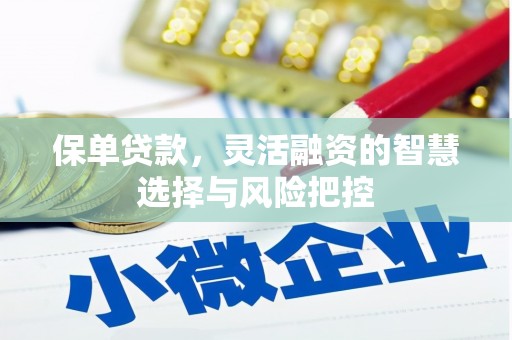 亭湖保单贷款，灵活融资的智慧选择与风险把控
