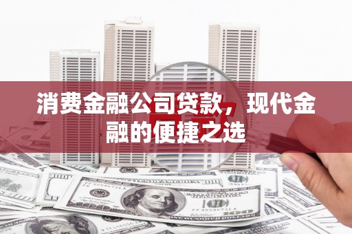 亭湖消费金融公司贷款，现代金融的便捷之选