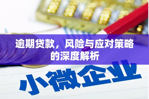 亭湖逾期贷款，风险与应对策略的深度解析