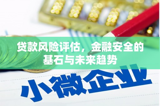 亭湖贷款风险评估，金融安全的基石与未来趋势