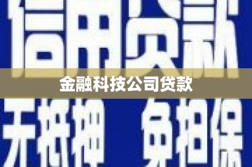 亭湖金融科技公司贷款