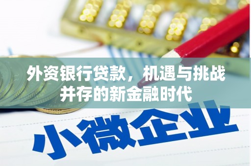 亭湖外资银行贷款，机遇与挑战并存的新金融时代