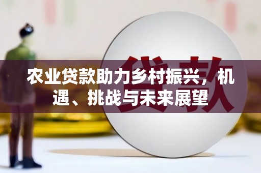 亭湖农业贷款助力乡村振兴，机遇、挑战与未来展望