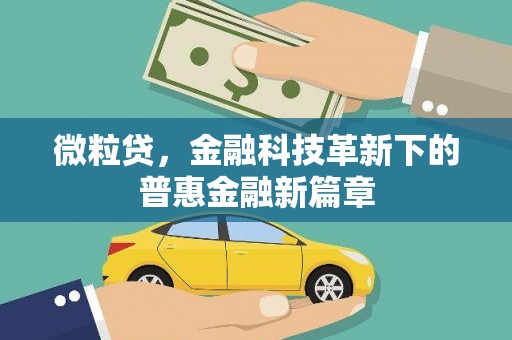 亭湖微粒贷，金融科技革新下的普惠金融新篇章