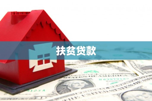 亭湖扶贫贷款