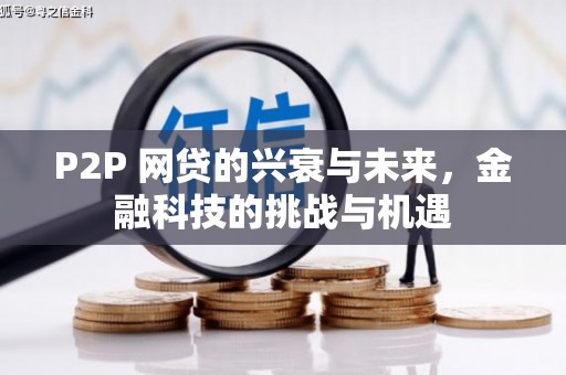 亭湖P2P 网贷的兴衰与未来，金融科技的挑战与机遇