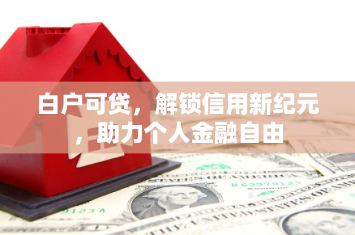 亭湖白户可贷，解锁信用新纪元，助力个人金融自由