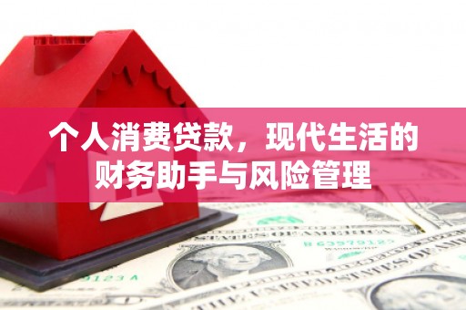 亭湖个人消费贷款，现代生活的财务助手与风险管理