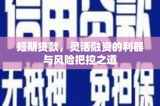 亭湖短期贷款，灵活融资的利器与风险把控之道