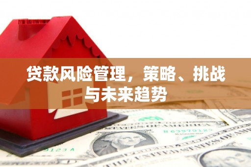 亭湖贷款风险管理，策略、挑战与未来趋势