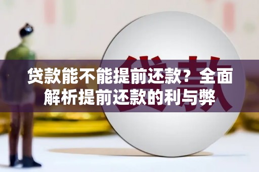 亭湖贷款能不能提前还款？全面解析提前还款的利与弊