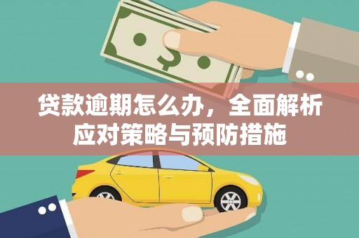 亭湖贷款逾期怎么办，全面解析应对策略与预防措施