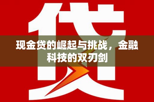 亭湖现金贷的崛起与挑战，金融科技的双刃剑