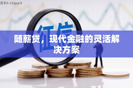 亭湖随薪贷，现代金融的灵活解决方案
