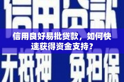 亭湖信用良好易批贷款，如何快速获得资金支持？