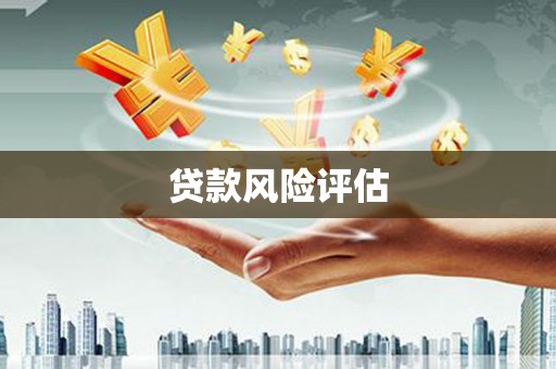 亭湖贷款风险评估