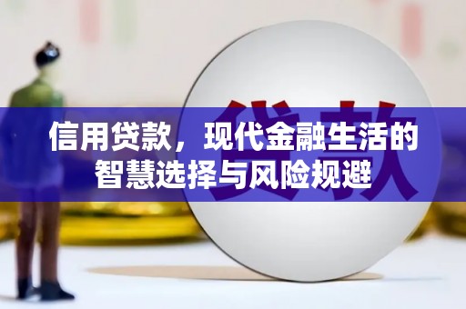 亭湖信用贷款，现代金融生活的智慧选择与风险规避