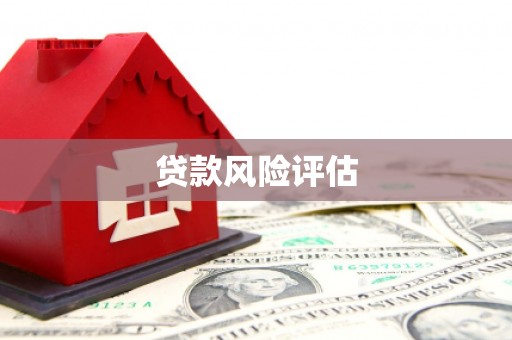 亭湖贷款风险评估