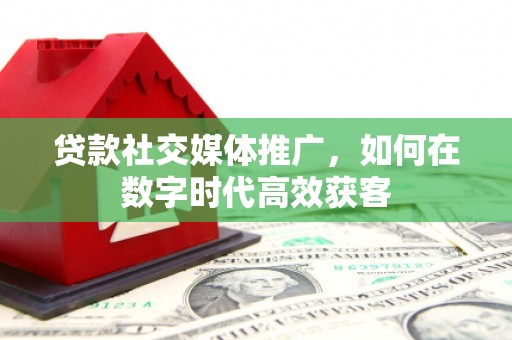 亭湖贷款社交媒体推广，如何在数字时代高效获客