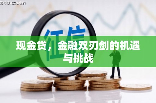 亭湖现金贷，金融双刃剑的机遇与挑战