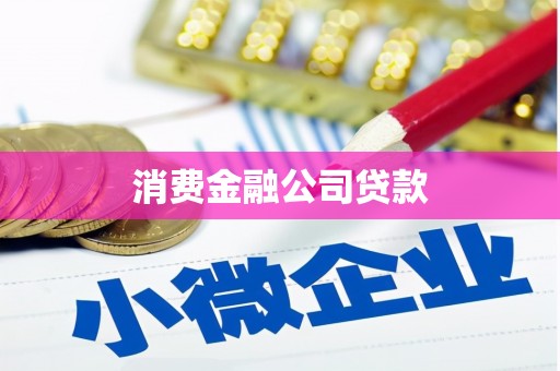 亭湖消费金融公司贷款