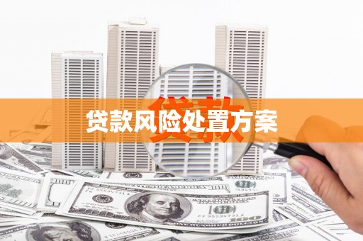 亭湖贷款风险处置方案