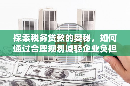 亭湖探索税务贷款的奥秘，如何通过合理规划减轻企业负担