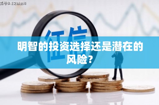亭湖明智的投资选择还是潜在的风险？