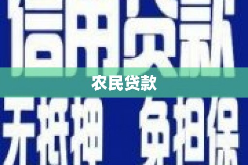 亭湖农民贷款
