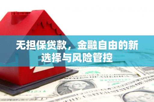 亭湖无担保贷款，金融自由的新选择与风险管控