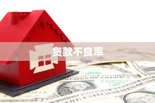 亭湖贷款不良率