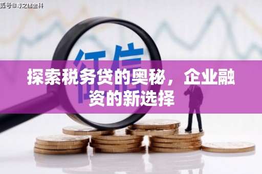 亭湖探索税务贷的奥秘，企业融资的新选择