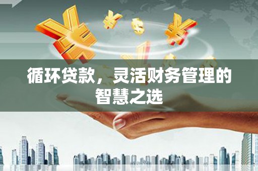 亭湖循环贷款，灵活财务管理的智慧之选