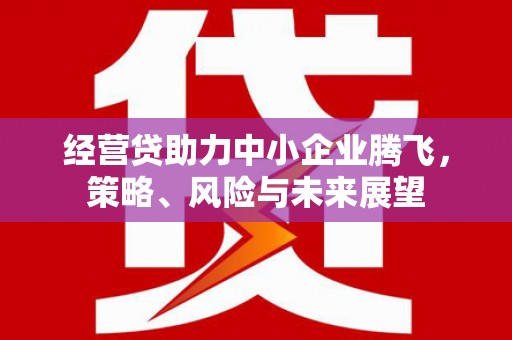 亭湖经营贷助力中小企业腾飞，策略、风险与未来展望