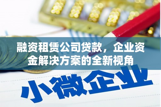 亭湖融资租赁公司贷款，企业资金解决方案的全新视角