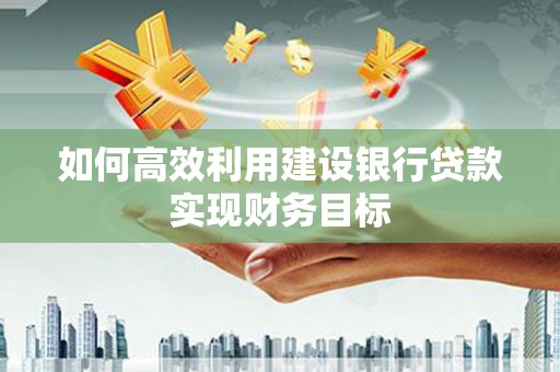 亭湖如何高效利用建设银行贷款实现财务目标