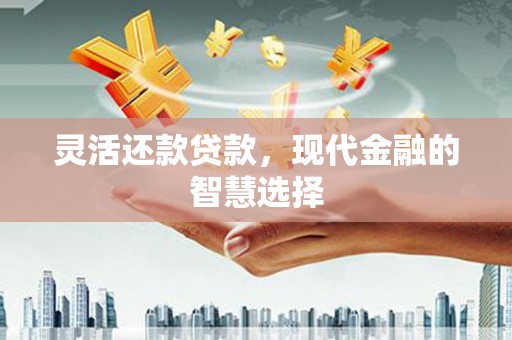 亭湖灵活还款贷款，现代金融的智慧选择