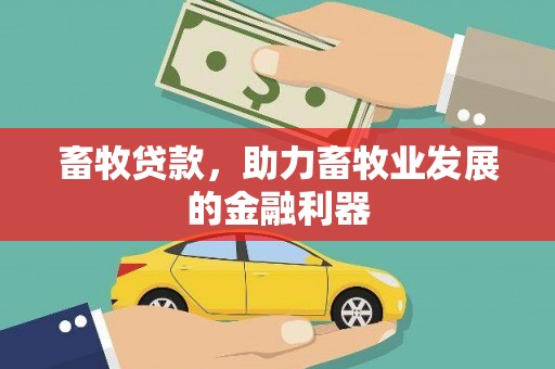 亭湖畜牧贷款，助力畜牧业发展的金融利器