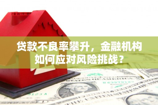 亭湖贷款不良率攀升，金融机构如何应对风险挑战？