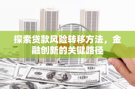 亭湖探索贷款风险转移方法，金融创新的关键路径
