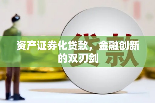 亭湖资产证券化贷款，金融创新的双刃剑