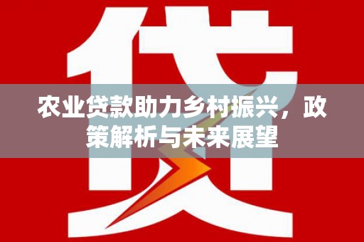 亭湖农业贷款助力乡村振兴，政策解析与未来展望