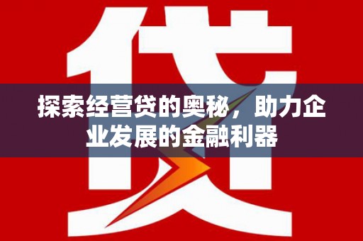 亭湖探索经营贷的奥秘，助力企业发展的金融利器